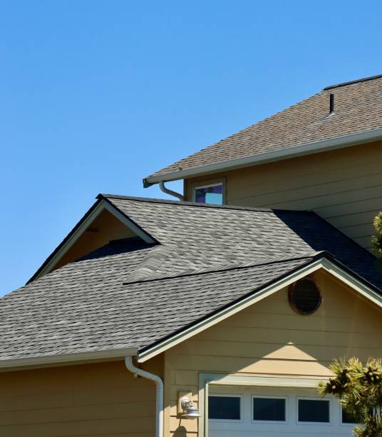 Best Gutter Installation and Repair  in Whitney, NV